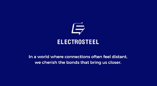Electrosteel's Annual Food Fest: A Celebration of Gratitude and Togetherness
